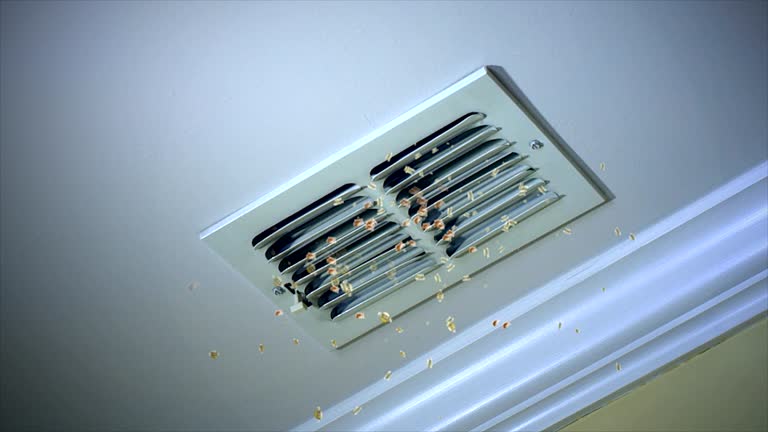 Best Air Duct Cleaning Near Me  in Rheems, PA