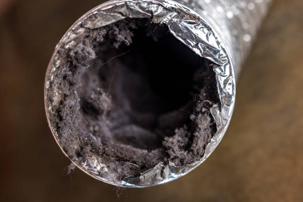 Best Air Duct Cleaning Cost  in Rheems, PA